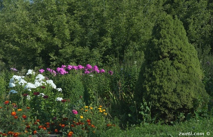 DSC 0832