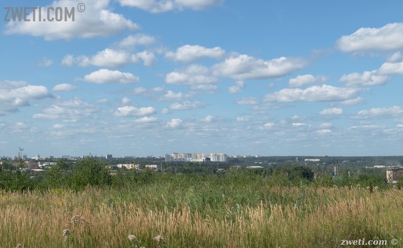 DSC 0964