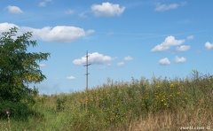 DSC 0956