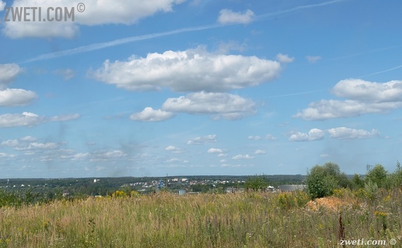 DSC 0966