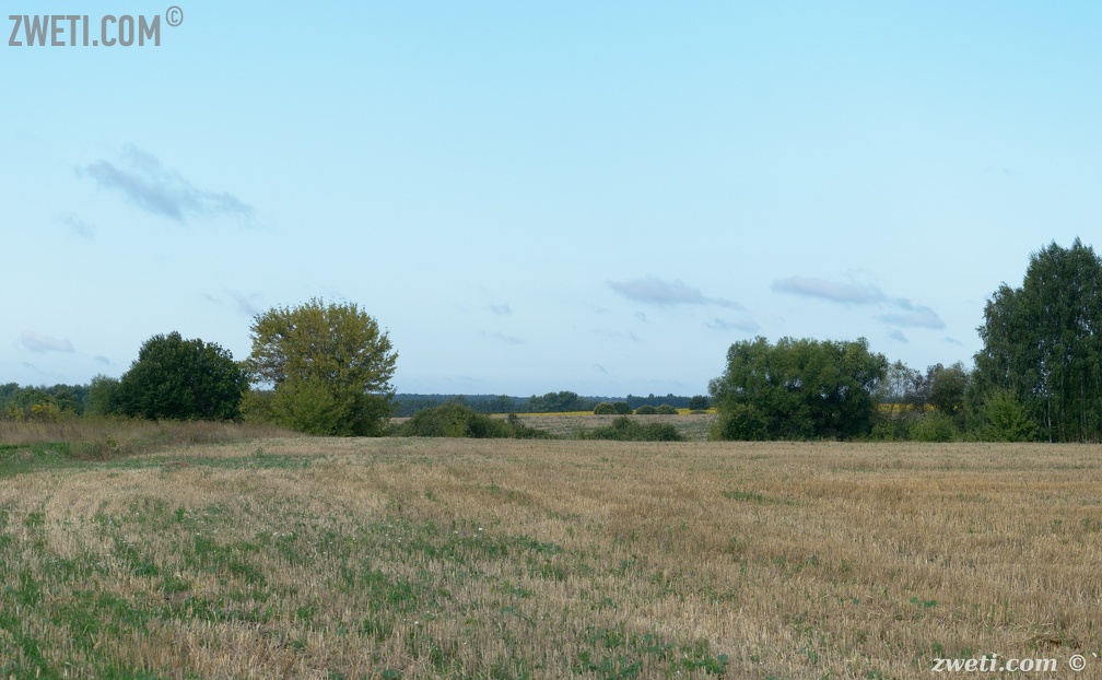 DSC 1003