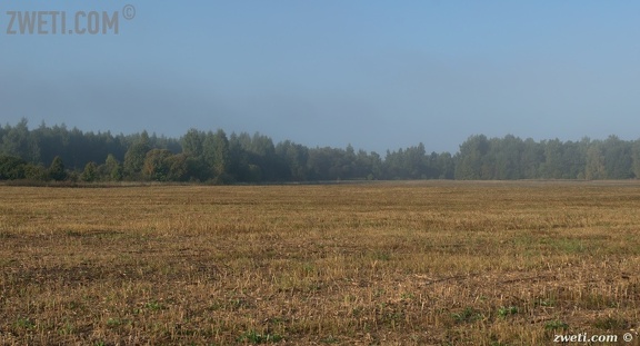 DSC 1274
