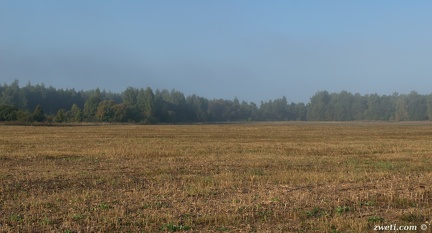 DSC 1274