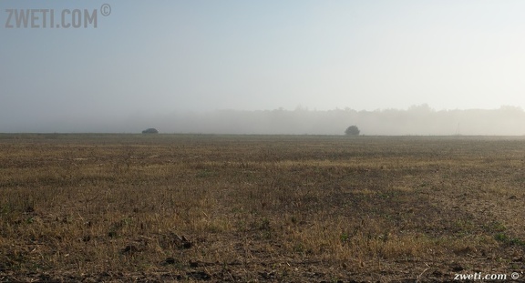 DSC 1276