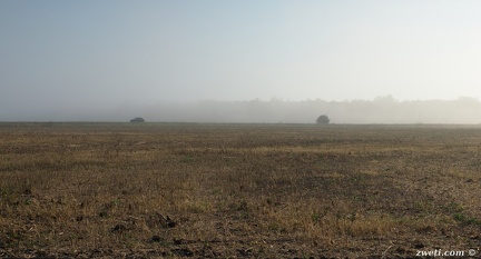 DSC 1276