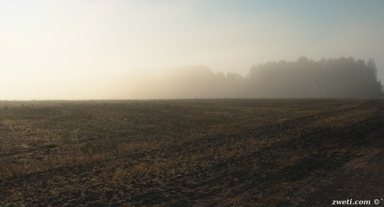 DSC 1273