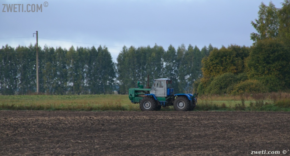 DSC 1495