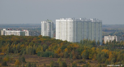 DSC 1759