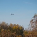 DSC 1771