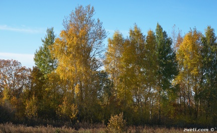 DSC 1792