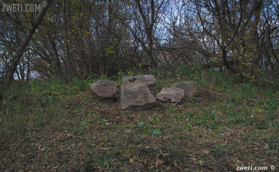 DSC 1806