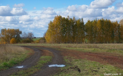 DSC 1799