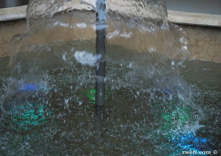 DSC 1900
