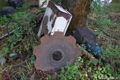 DSC 3089