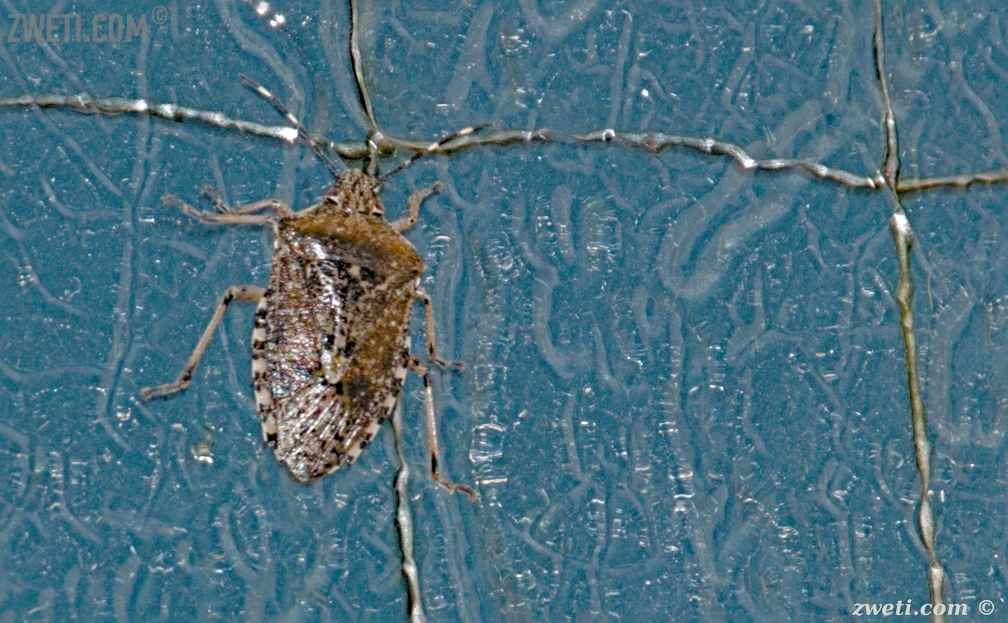 DSC 1726 01